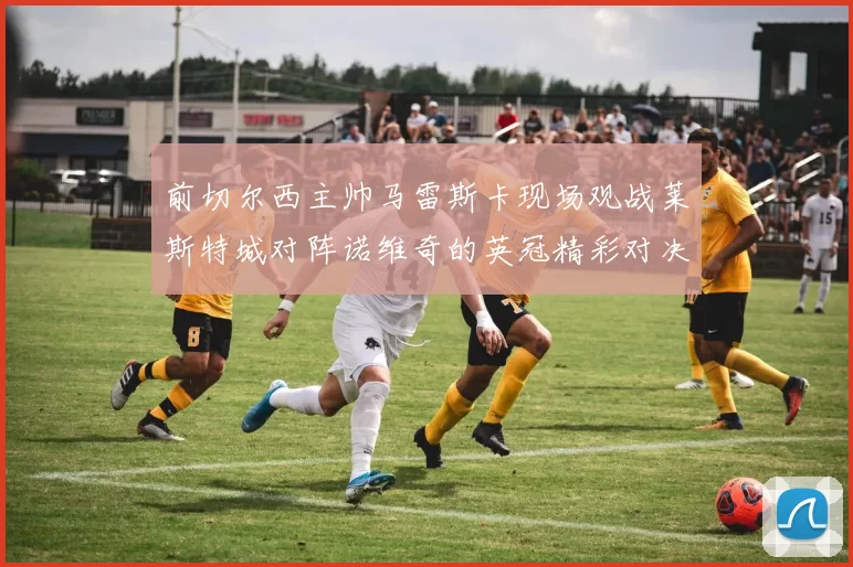 前切尔西主帅马雷斯卡现场观战莱斯特城对阵诺维奇的英冠精彩对决