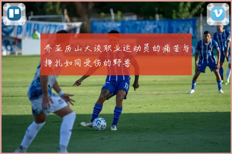 乔亚历山大谈职业运动员的痛苦与挣扎如同受伤的野兽